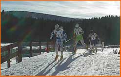 Competition de course de Ski